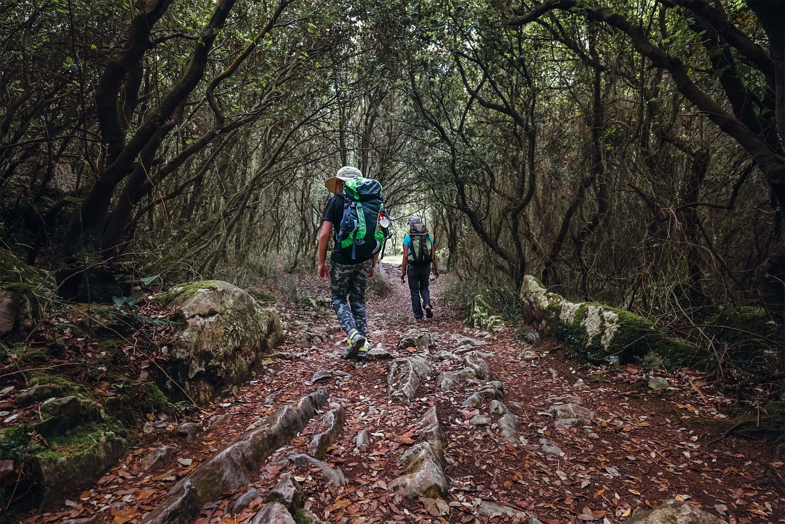 Camino de Santiago desde Tui