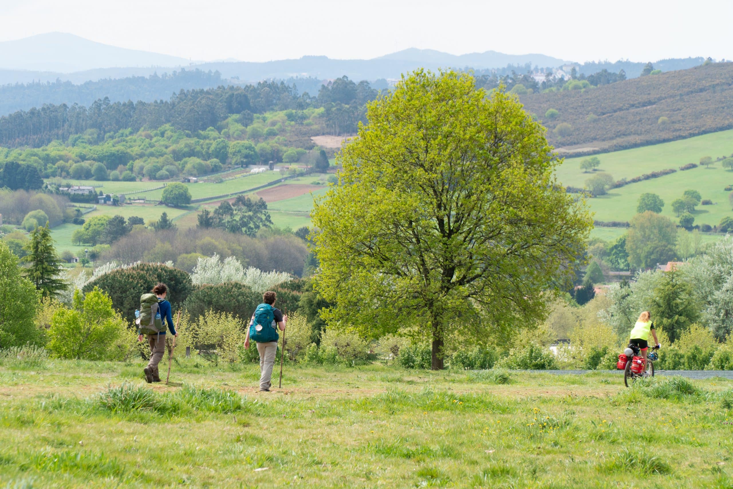 Caminho de Santiago desde Tui