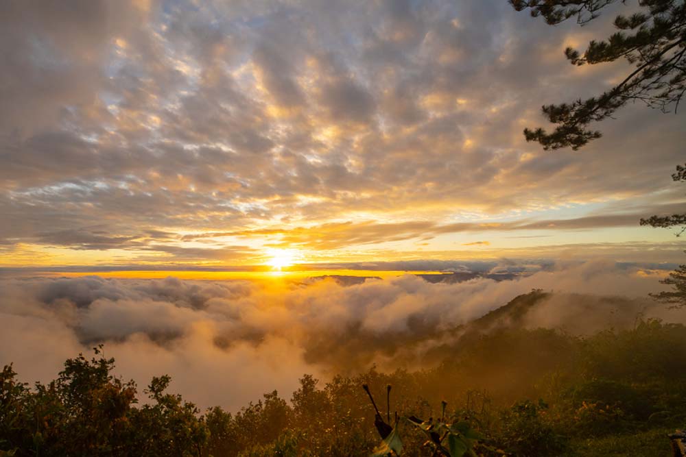 Photographier le Camino de Santiago